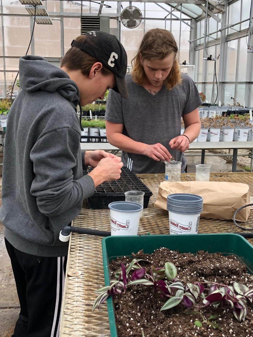 Geoscience students putting seeds into cups